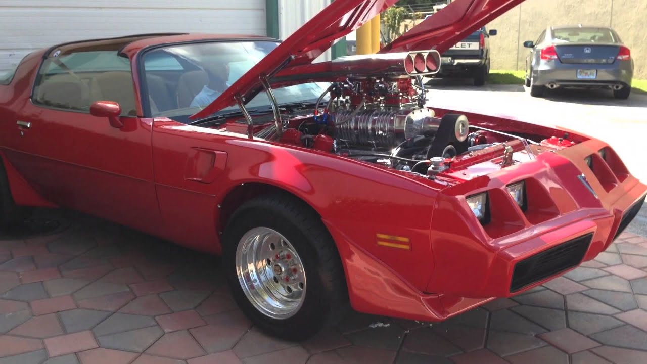 1979 Trans Am Pro Touring Show Winner