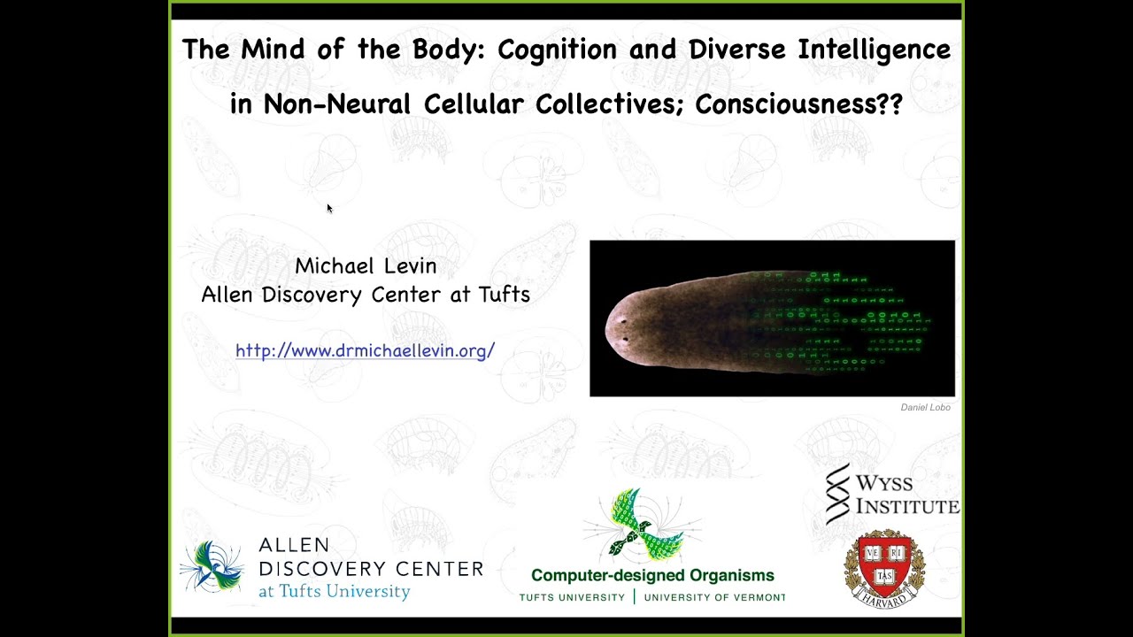 My talk on consciousness at the Science of Consciousness 2023