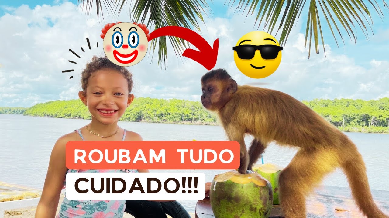 Incrível Passeio pelo Rio Preguiça (Vassouras, Mandacaru e Caburé) | Fala Viajante