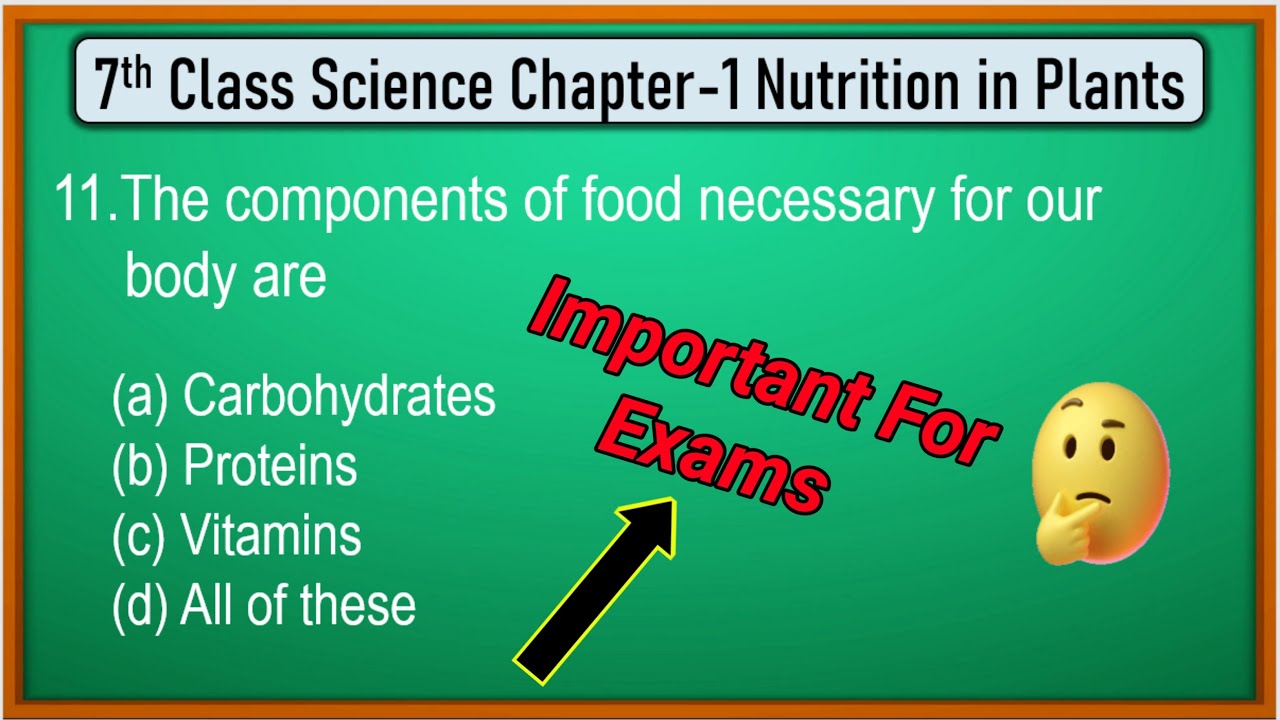 Nutrition in Plants Class 7  Chapter 1 MCQs | Class 7 science chapter 1 nutrition in plants