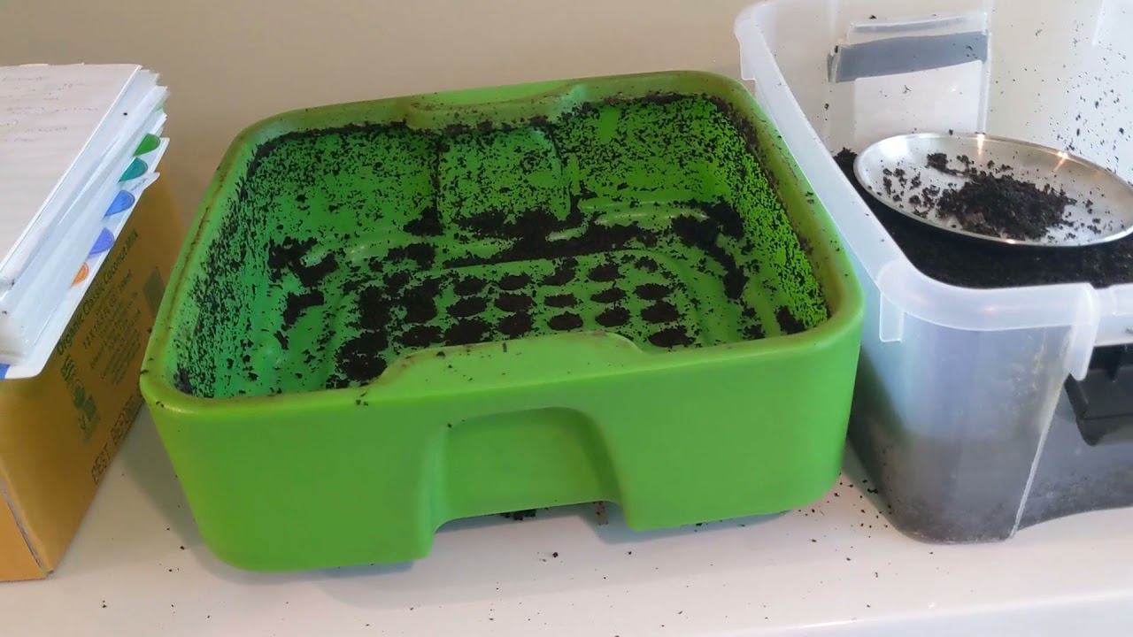 Hot Frog Living Composter Year 1 Day 12 - Harvesting Tier 1 - Vermicomposting