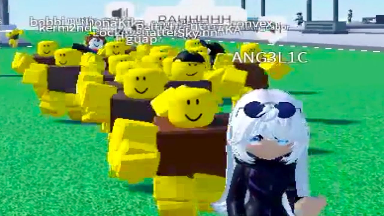 we raided roblox servers.