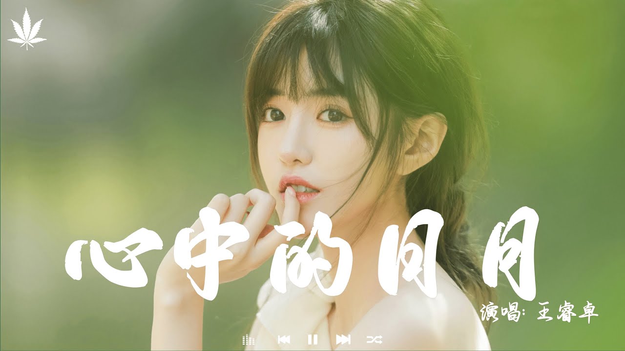 心中的日月 - 王睿卓 | Xin Zhong De Ri Yue - Wang Rui Zhuo「你是我心中的日月光芒，你是我心中的日月光芒。」【動態歌詞MV】♪