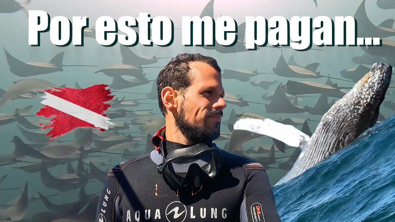 ¿Cómo es el Buceo en Cabo Pulmo? 📌 Baja California Sur, México 🇲🇽 Instructor de Buceo