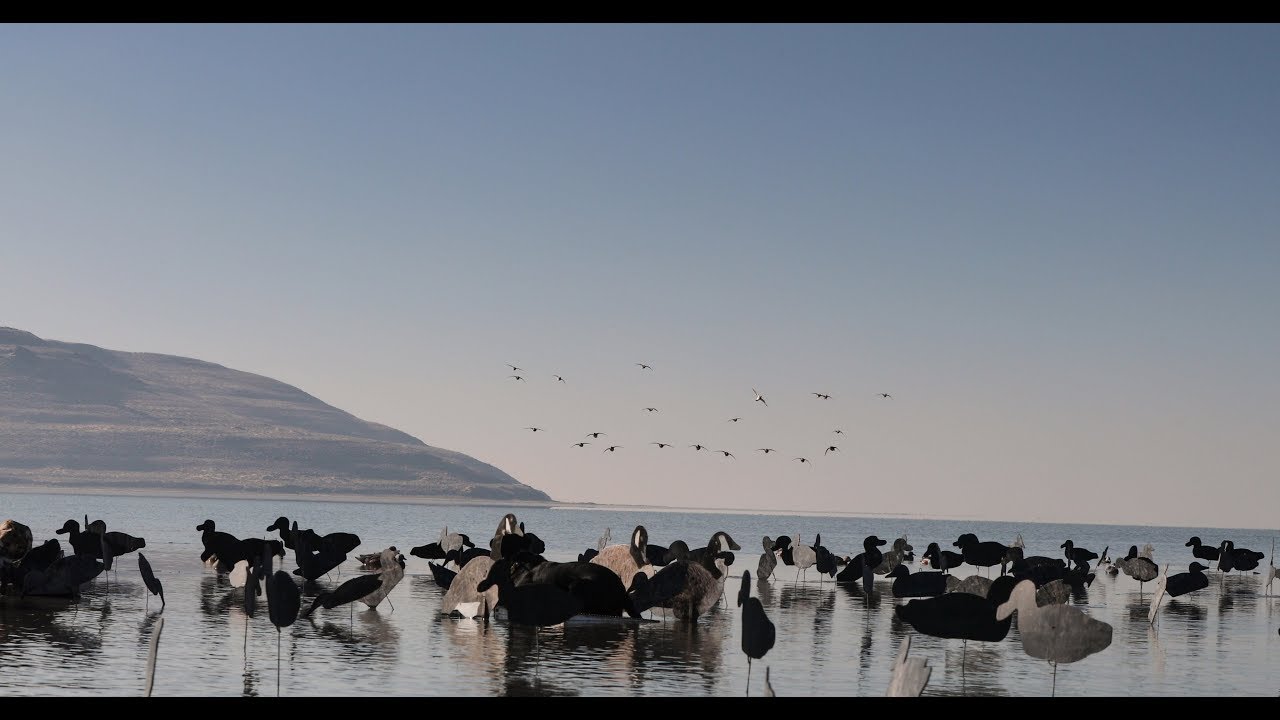 Salt Lake Teal Smash