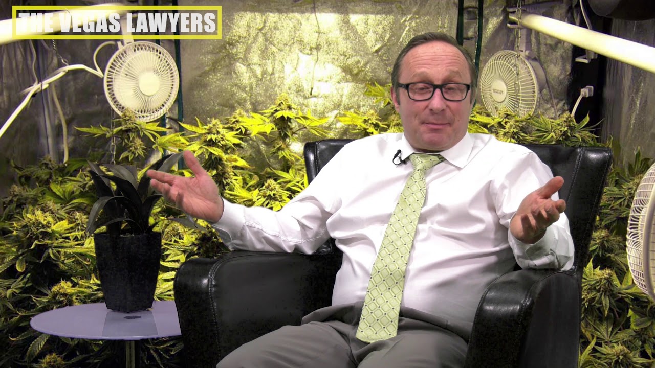 Can you grow marijuana in Las Vegas?