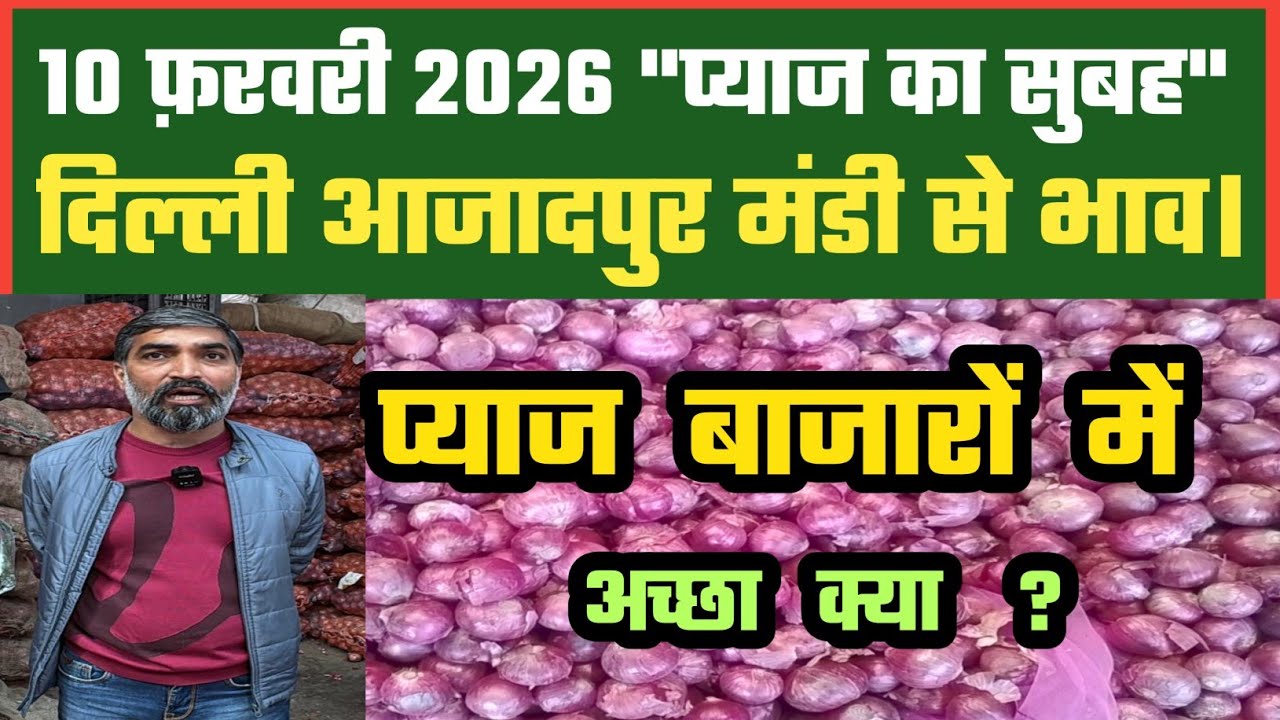आज प्याज के बाजारों में अच्छा क्या ? Azadpur Delhi Mandi Today में 10-02-2026 के Onion Price DMT TV
