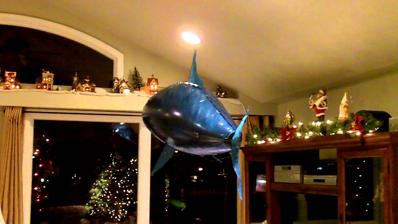 Shark attack at the Kraft's