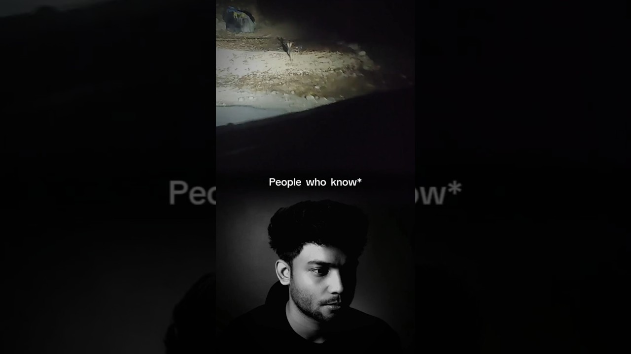 Indian Urban Legend : Chakwa Rabbit uncanny clip