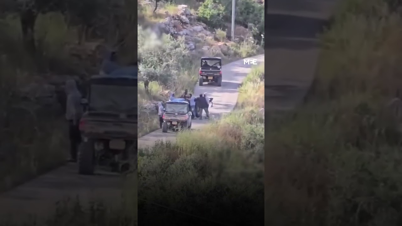 Israeli settlers filmed harassing Palestinian farmer in West Bank