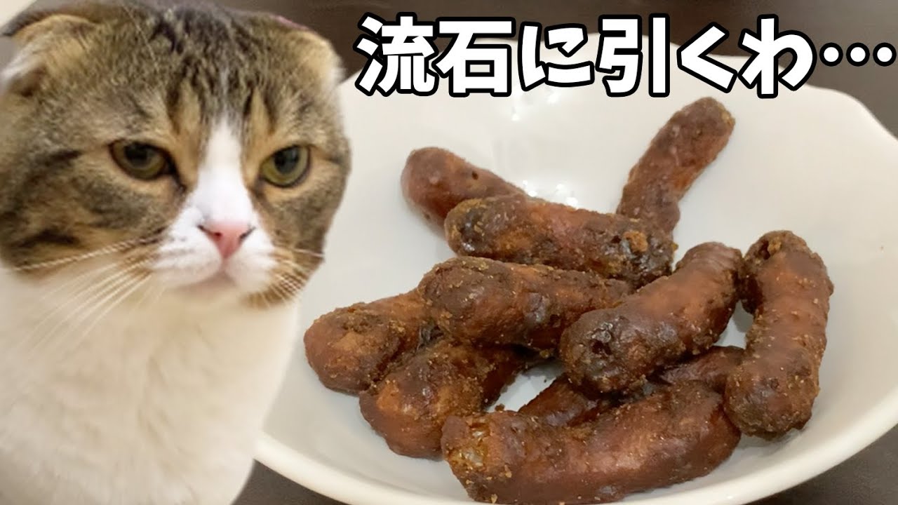 う○ち直後の猫の前でかりんとう食べてみた結果…！