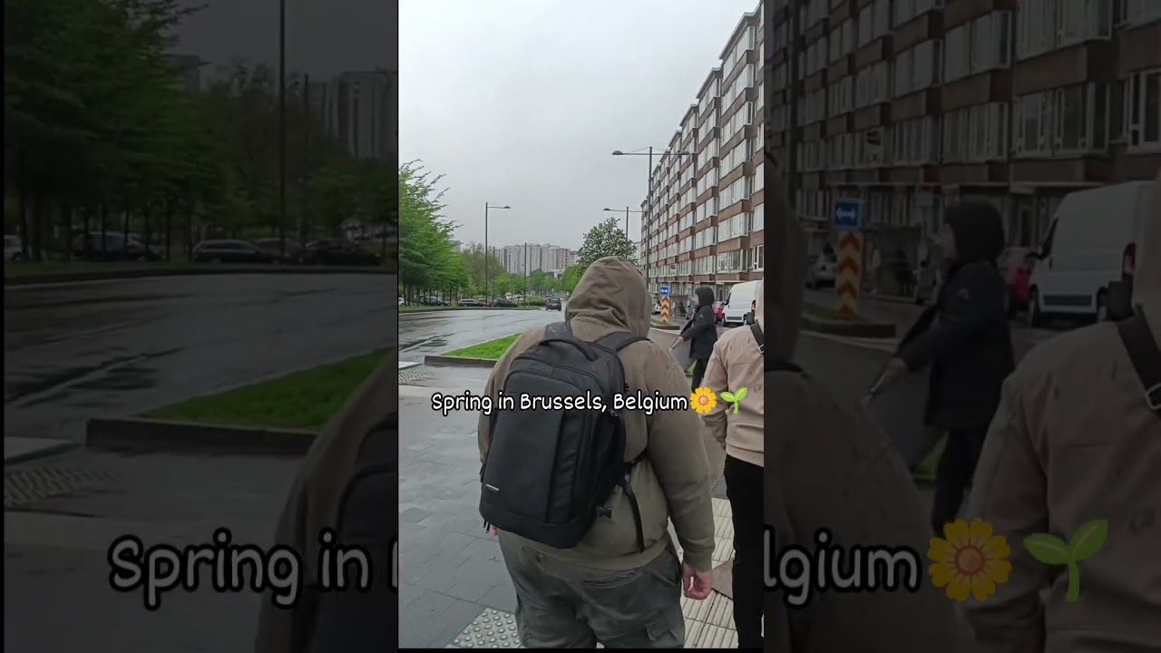 Spring in Belgium, Brussels 🌼🌱 🌞☀️#weather #brussels #belgium🇧🇪 #europetravel #europe #love