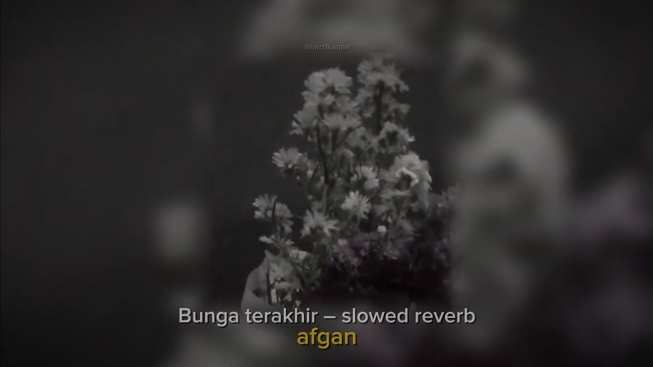 Afgan – Bunga terakhir ( slowed reverb ) lirik tiktok version