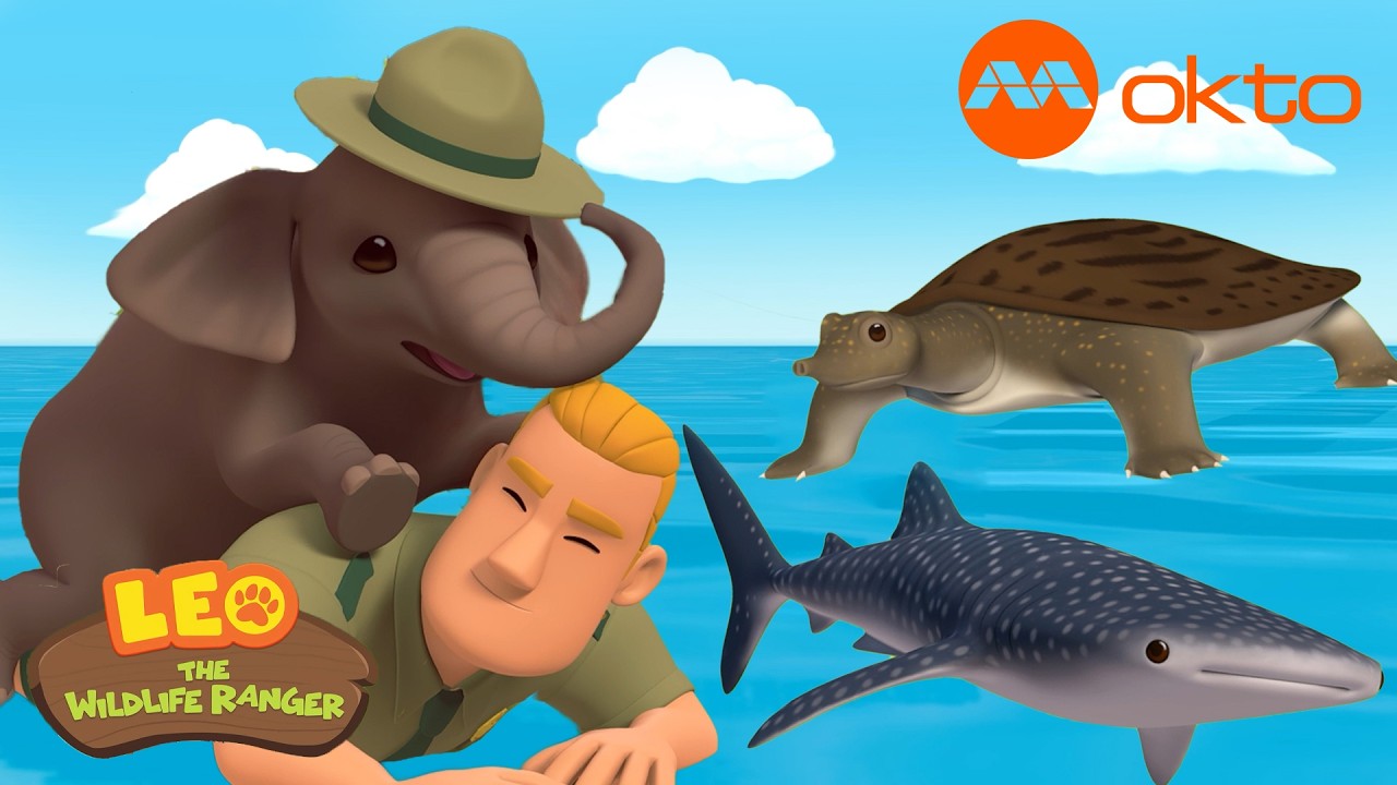 JUNIOR RANGERS RESCUE AMAZING WILDLIFE 🐘🐢🦈 | Leo Compilation | @mediacorpokto