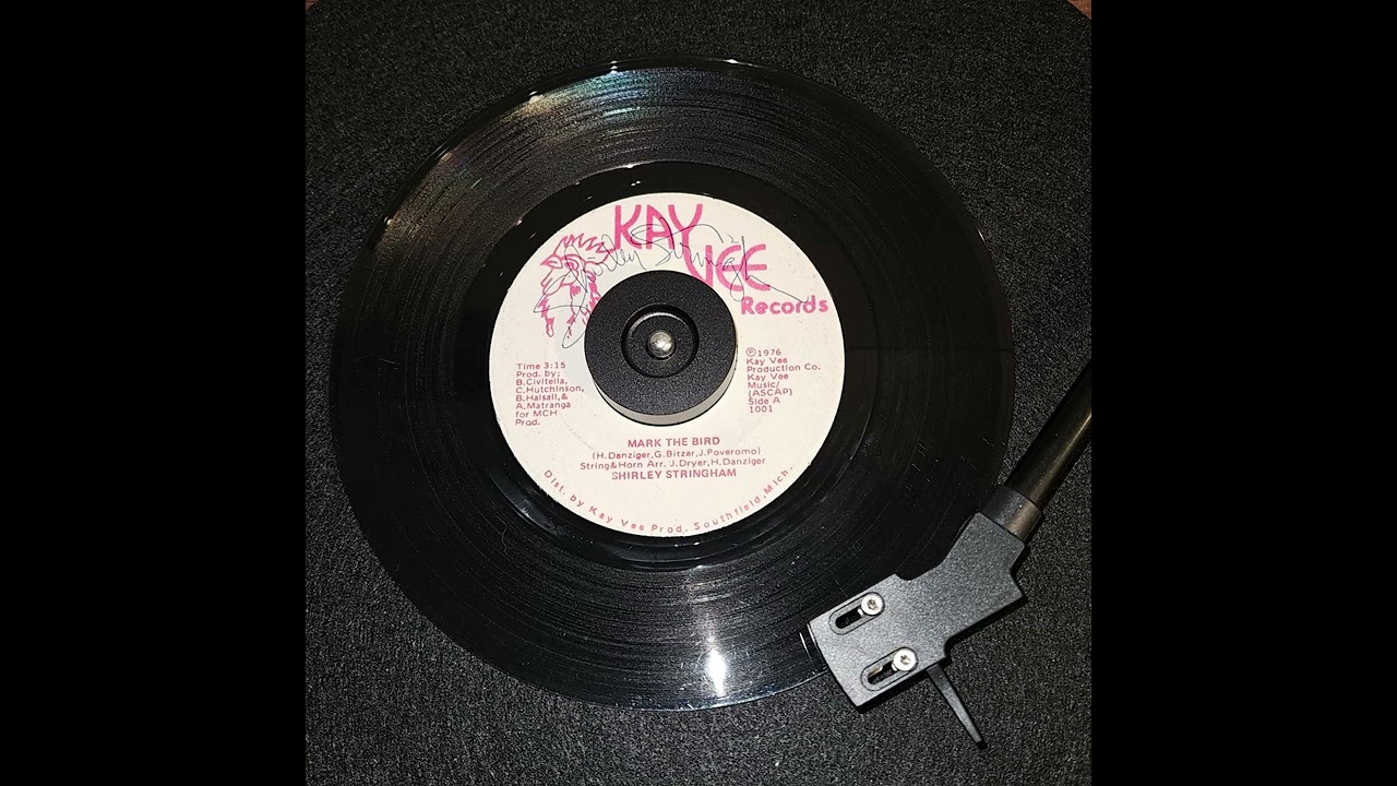 Mark The Bird - Shirley Stringham