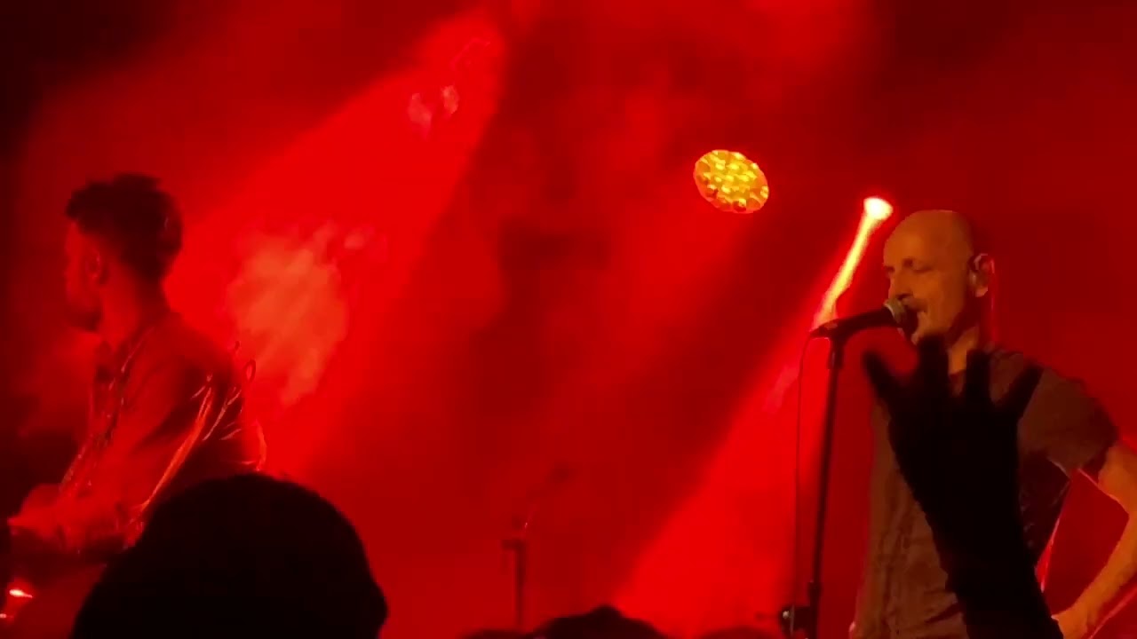 Mile Kekin - Šamar (live 22.11.2024. Dom omladine Beograda)