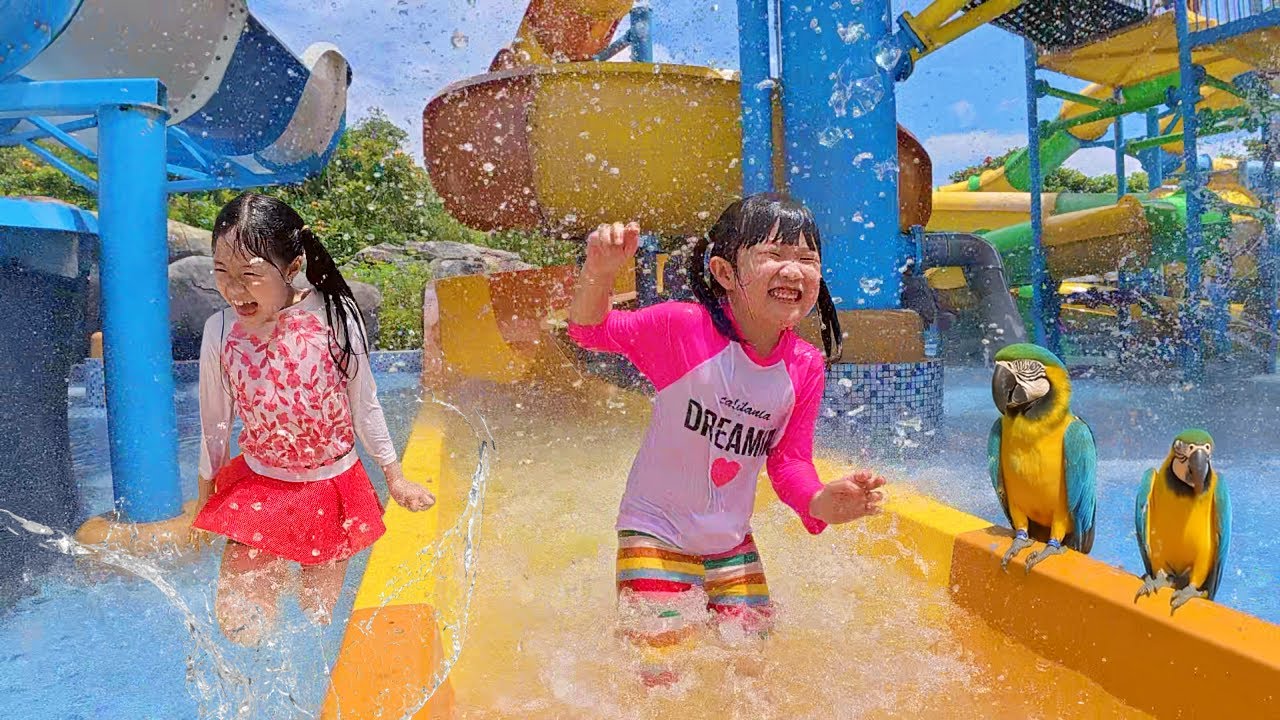 Harper Main Perosotan Air Ketemu Burung di Wahoo Waterpark
