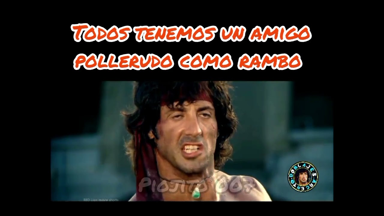 Rambo el pollerudo #videosgraciosos #rambo #videosvirales