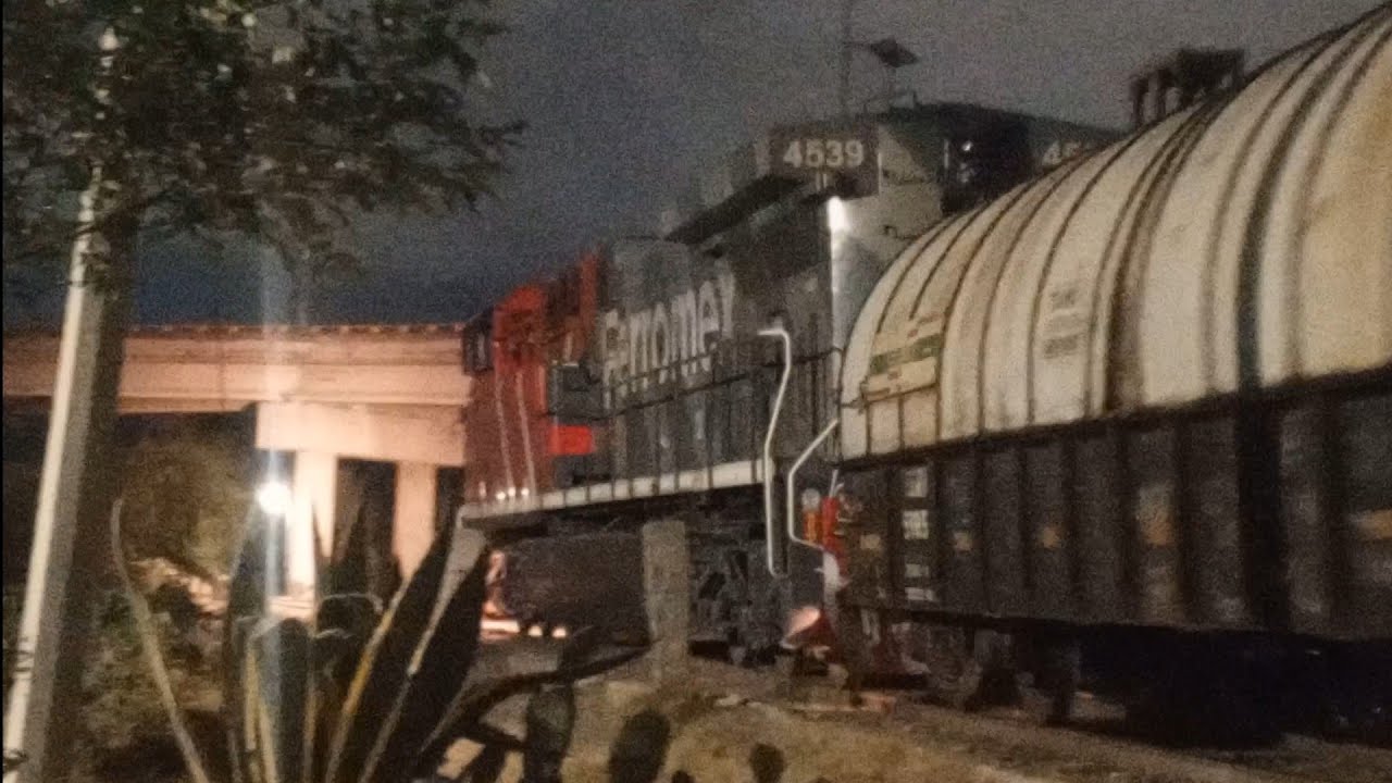FSRR 4539 esquema cebra 🦓