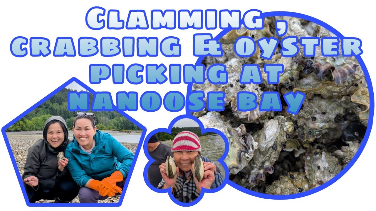 CLAMMING , CRABBING AND OYSTER PICKING AT NANOOSE BAY