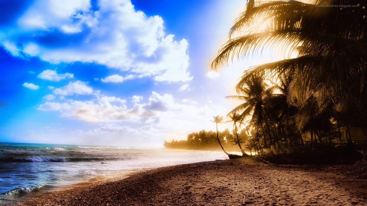 Will Holland - Tears In The Rain [Feat. Yana Kay] [Alex M.O.R.P.H. & Woody Van Eyden Remix] HD