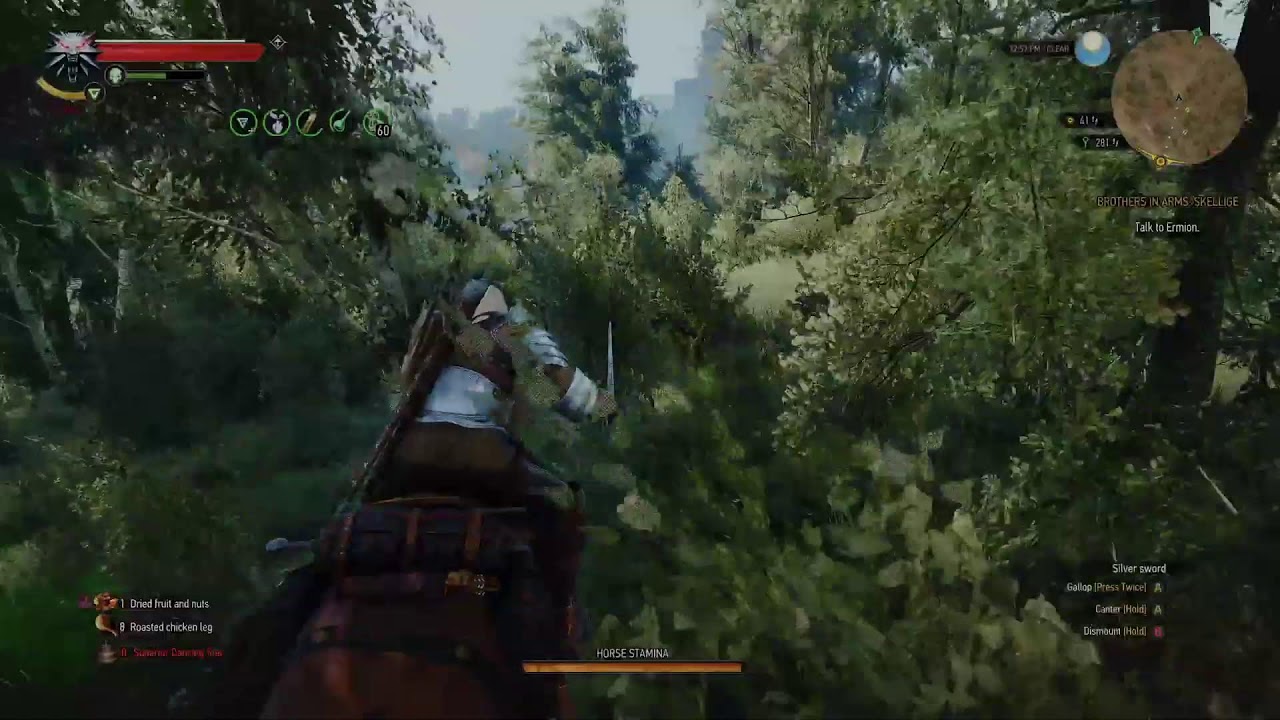 Witcher 3 finding ciri 