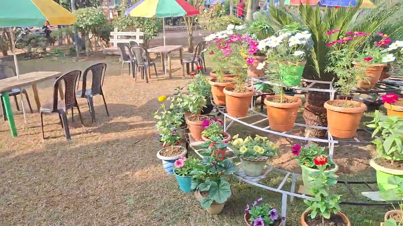 মুকুটমনিপুর 