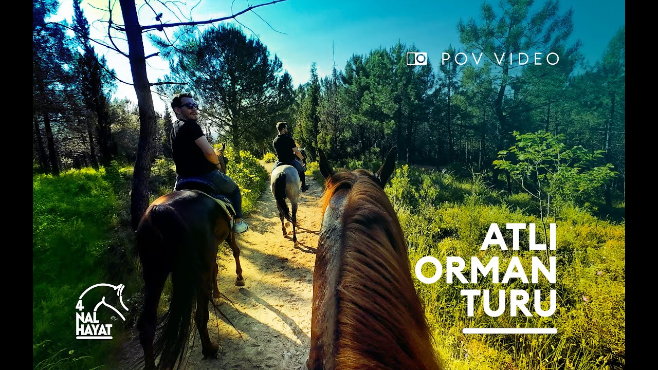 Bol Aksiyonlu Dörtnala Ormanda At Binme | 4K | Instagram videolarının kamera arkası