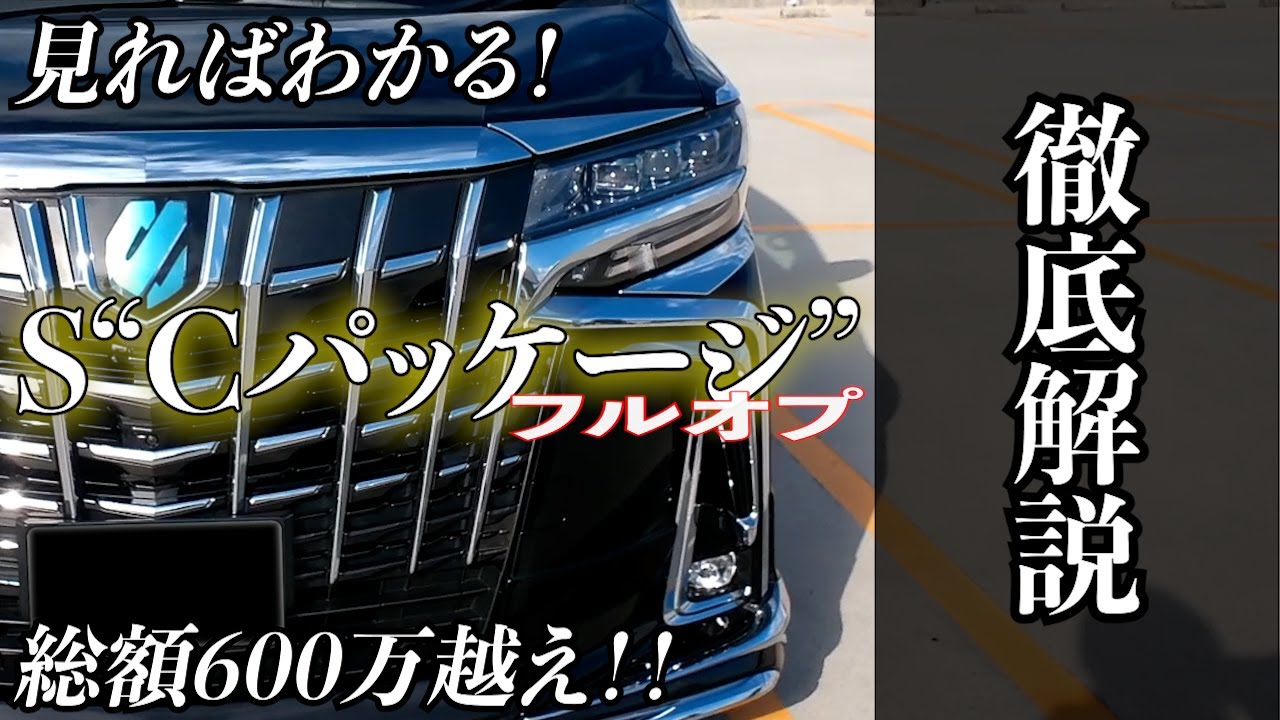 【アルファード】1番人気グレードS 