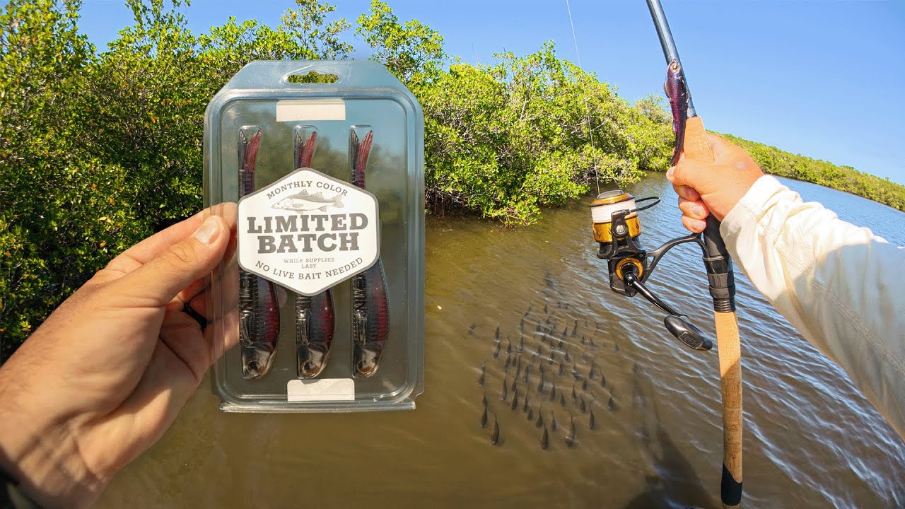 My NLBN Color is Back! Lets Fish it! | Snook, Trout, Jacks