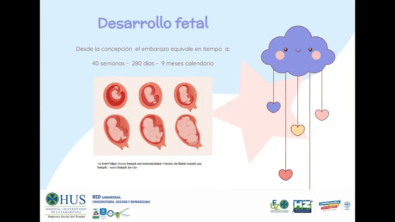 Curso Psicoprofiláctico - módulo 1