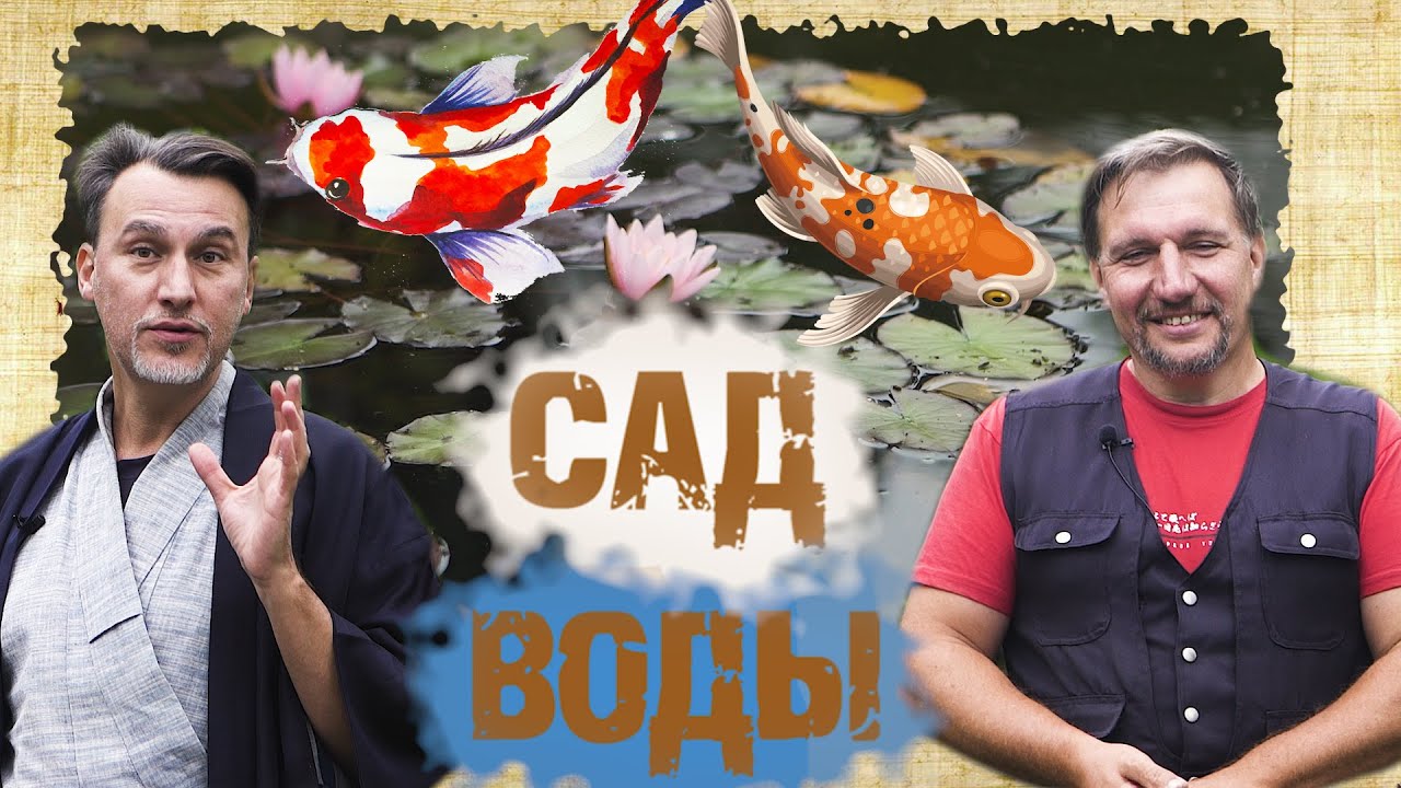 Устройство прудов в японском саду, водные и прибрежные растения
