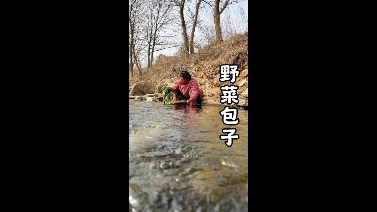 带你们看看在东北野菜新吃法 