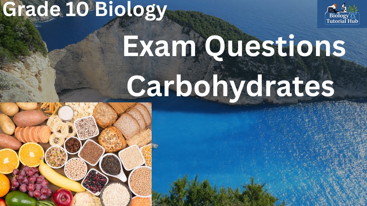 Exam Questions on Biochemical Molecules: Carbohydrates (Grade 10)