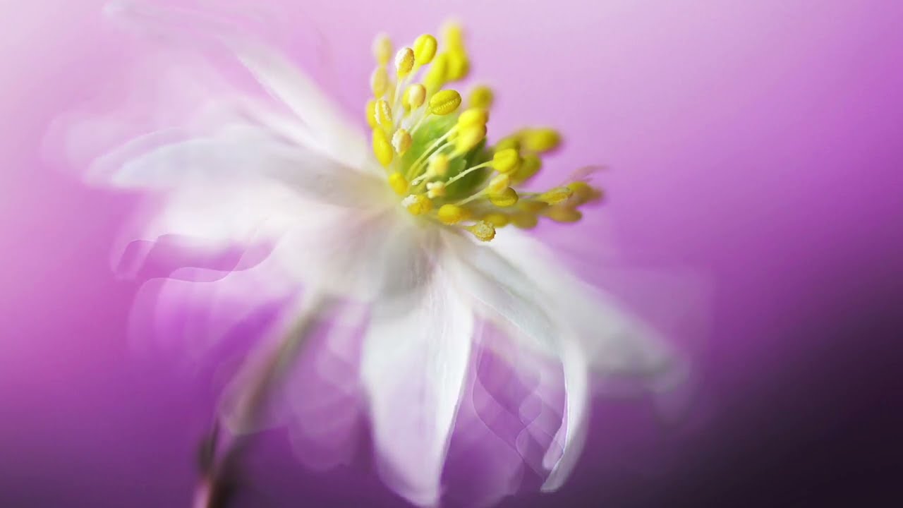 Instrumental Music for Relaxation, Sleep, Meditation, Stress Relief | Ambient | Reflections