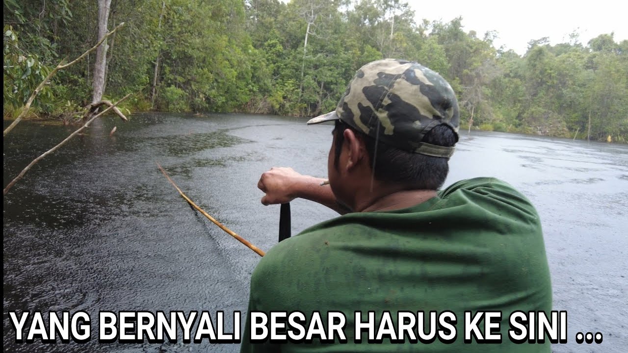 RAHASIA PUNGGU ALAS