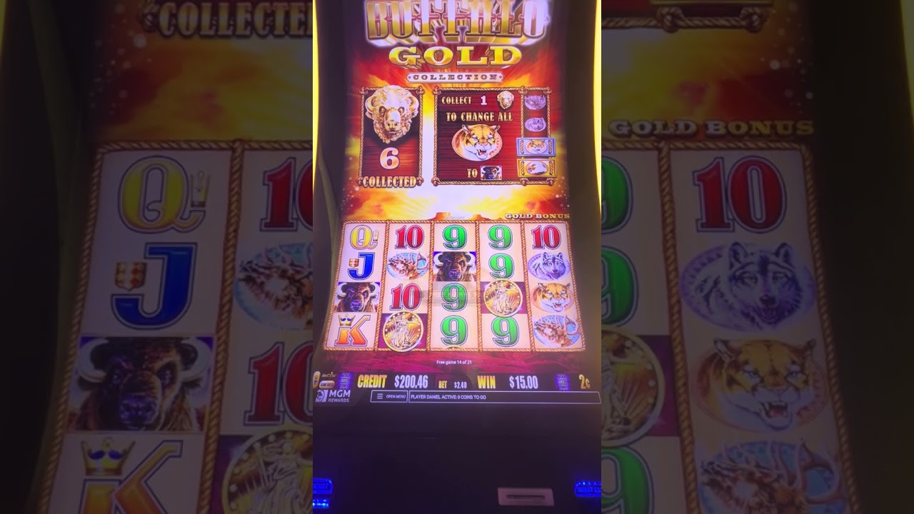 Buffalo Gold 31 free games !