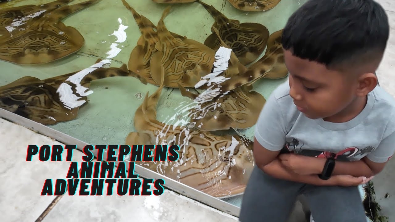 Port Stephens Animal Adventures