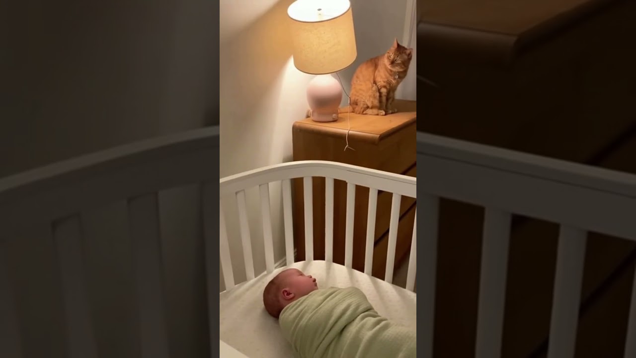 🐱💥 Hero Cat Saves Baby in Real Life! 😱 Caught on Home Security Camera | Viral CCTV Footage