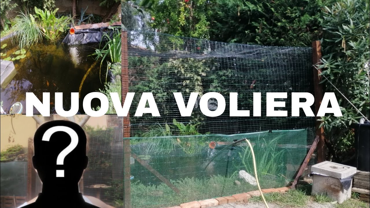 nuova VOLIERA ENORME   ||+facereveal||