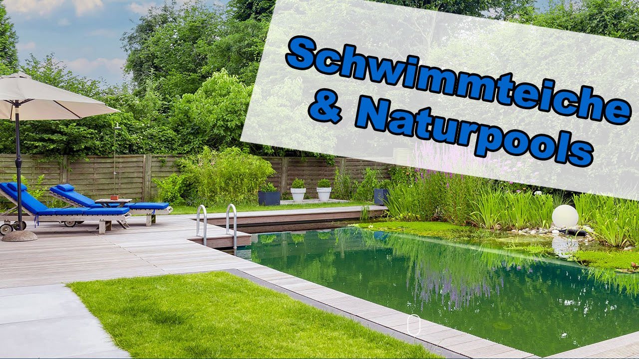Die schönsten Schwimmteiche & Naturpools 2023 ▬ Inspiration ▬ Werbevideo von ProTeich