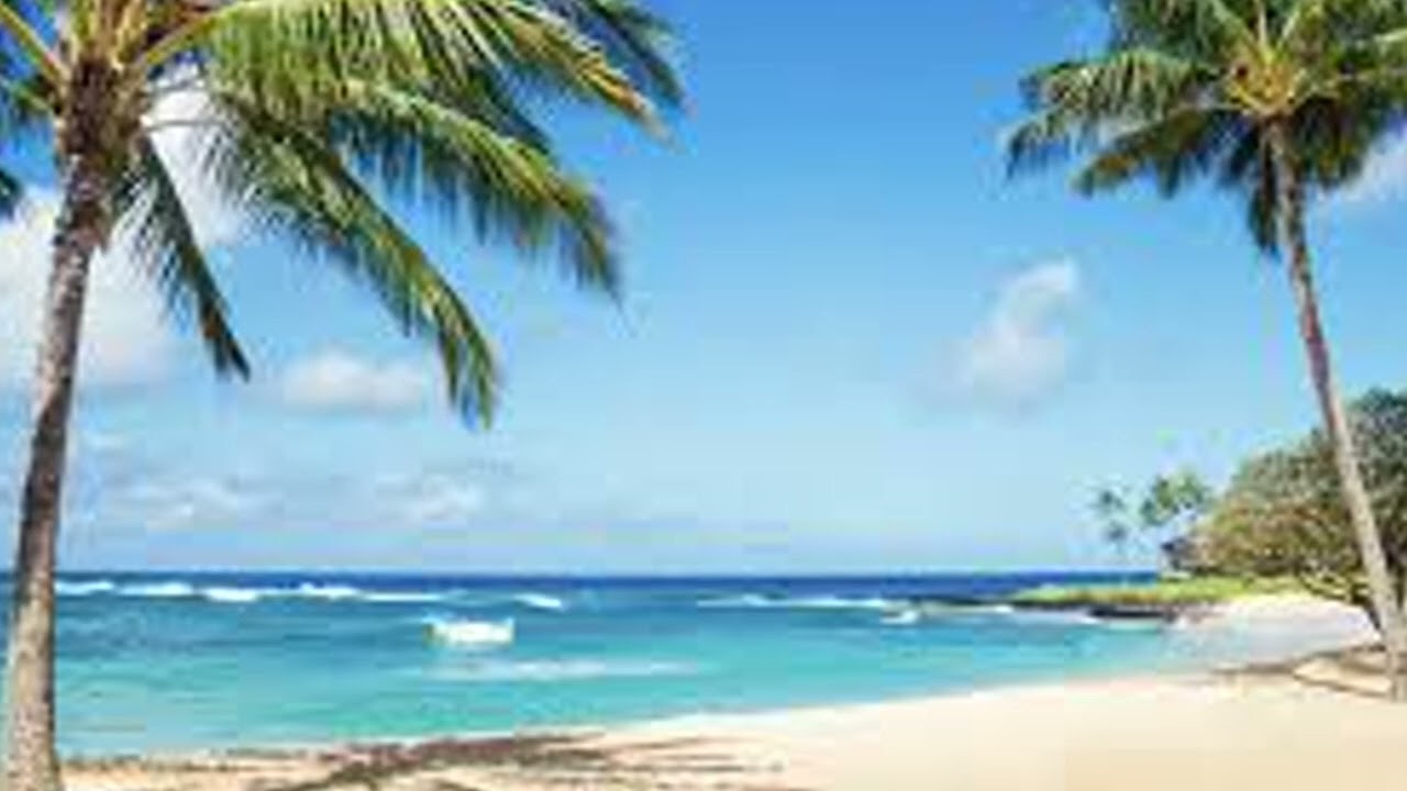 tropical paradis musique IA