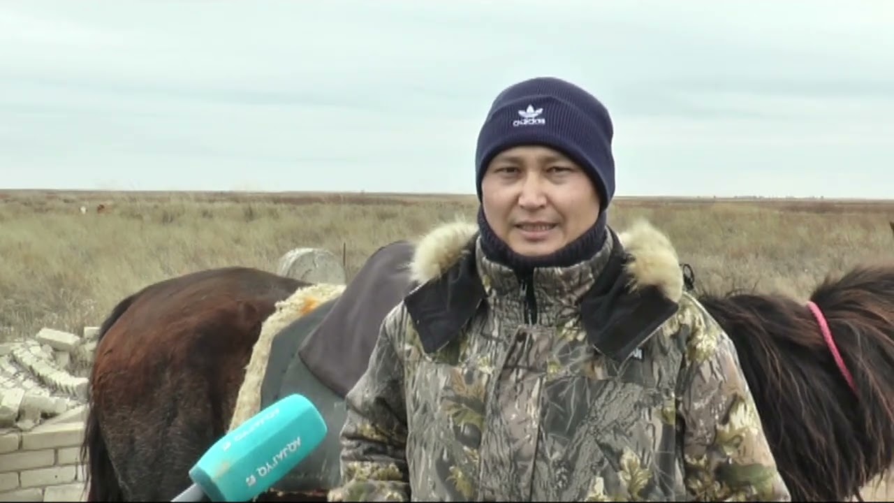 Кіші жүз Байбақты Әлтеке Дәуқара батырдың 335 жылдығы