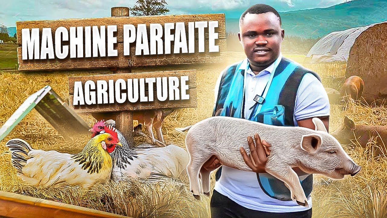 Ils ne veulent pas que tu connaisses ces machines pour fabriquer ta propre provende !