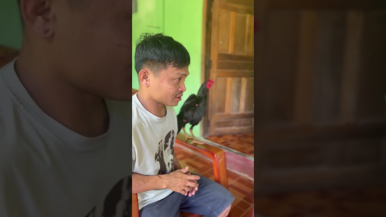 ဟာသတို အားပေးပါ