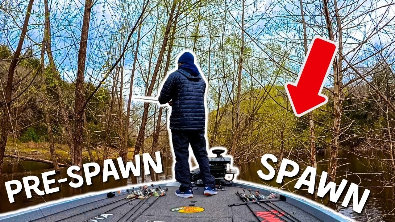 Finding A NEEDLE In A Haystack (New Lake BREAKDOWN)