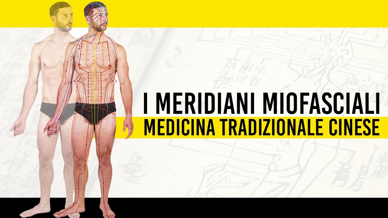 Meridiani Miofasciali nella Medicina Tradizionale Cinese