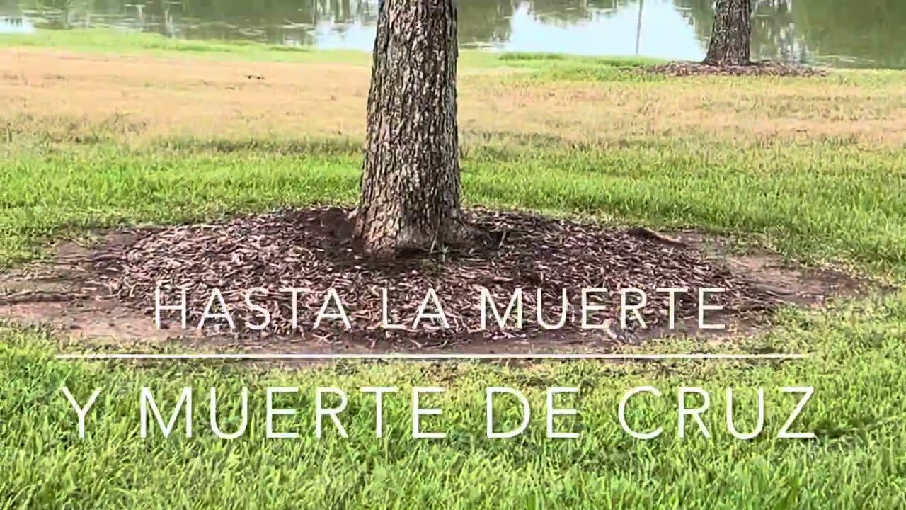 Jesucristo Nombre Sobre Todo Nombre