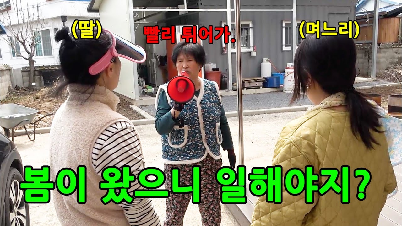 남들 벚꽃 보러 갈 때 감자 심으러 간다면? 