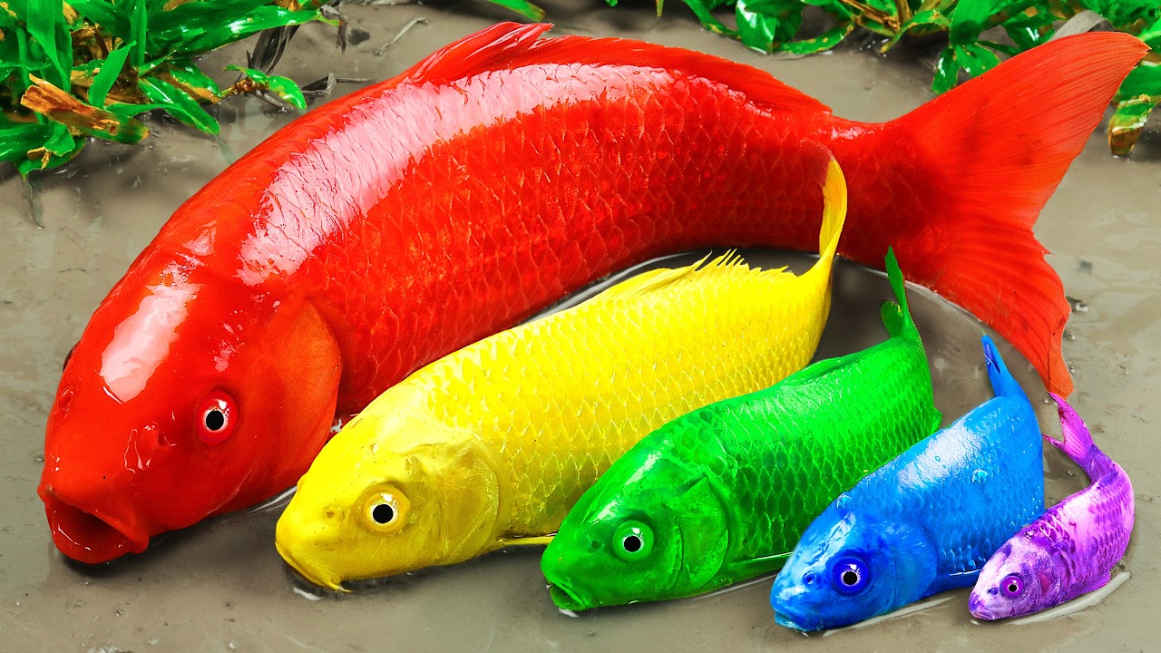 Best Of Small Fish Recipe | MINIATURE Fish Cooking Made EASY with Simple Recipe